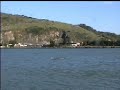 Cooperative Dolphins of Laguna: Data on Nature of Signal