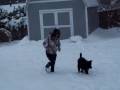 videos de Alexa and Ichabod in the snow