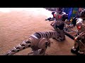 RoboRaptor 2: From Beyond the Dead RoboRaptor 2: From Beyond the Dead