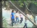 videos de CJOL Valencia Wildlife Intro!