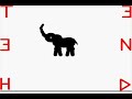 Amateur Pivot Video Short - Magic Elephant Amateur Pivot Video Short - Magic Elephant