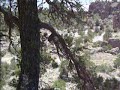 Sierra de Organos.avi