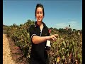 Travel Oz Episode 17 (Part 2)