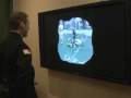 Majority Report: 2008 Army-Navy Spirit Video