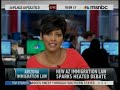 MSNBC Joe Arpaio and  SB1070