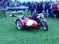 dog on motorbike stunt