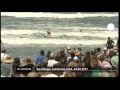 Dog surfing competition in California - no comment