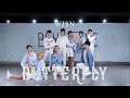 WJSN (우주소녀) - Butterfly Dance Cover 