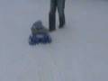 Cali's 2nd Sledride. REAL snow