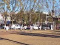 gol del stella