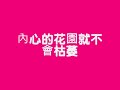 ??? - Love in This World !!! ??? - Love in This World !!!