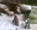 antwerpse zoo