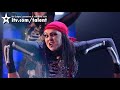 The Fusion - Britain's Got Talent 2010 - Semi-final 4 (itv.com/talent) - free flv video @ vwatch.tv