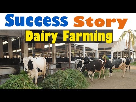 how to dairy farming in india