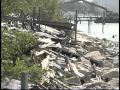 New Orleans - The Natural History - YouTube
