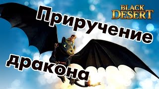 Black Desert (RU) - Дракон. Веселье в пустыне. Нубэр / Боссы Black Desert (RU) - Дракон. Веселье в пустыне. Нубэр / Боссы