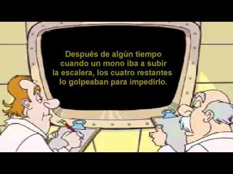 Cultura. Organizacional. -