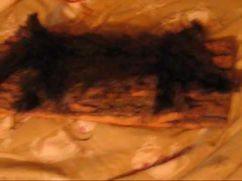 how to cure squirrel fur