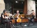 Fritz Quartet - Philip Glass String Quartet No.3, Mvt 1