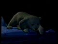 Coca Cola Bears
