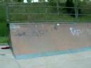 heavy wacho heavy tati skateboard