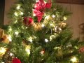 Xmas Message to Scientology