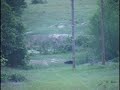 1st Video Kill