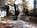 Best Dunks