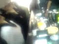 Un buEn trAgo pARa LAs dAMs llAmado BloW joB 2