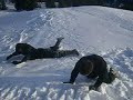 Skifreizeit in Mayerhofen 2