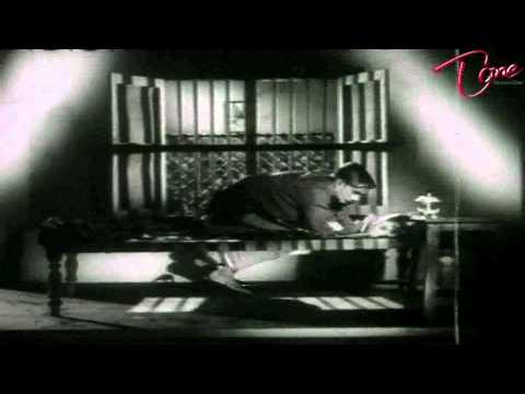 Comedy, Telugu Comedy, Telugu Movie Comedy, Telugu Cinema Comedy, Movie Comedy, Movie, Super Comedy, Telugu Suoer Comedy, Comedy Movies, Comedy Pictures, Comedy Scences, Comedy Super, Brhamanandam Comedy, Ali, Venu Madav, Suneel, Rajibabu, Old Comedy, Teluguone, Teluguone Movies, Teluguone Videos