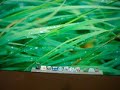 mac os x leopard 10 5 9a466