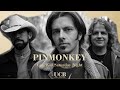 Pinmonkey Let's Kill Saturday Night Official Music Video and Lyrics