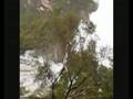videos de Rotorua GeoThermal Area from travelwheels campervans