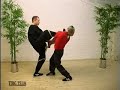 Sifu Dingeldein Chi Sao