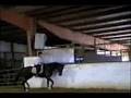 Superstitious Video 3