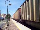 BNSF 9919 East - Riverside, IL