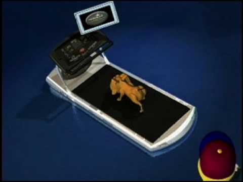 Measuring and Estimation Video