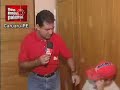 sem meias palavras