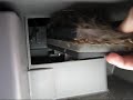 Cabin air filter replacement- Chevrolet Uplander