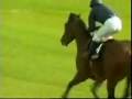 Horse Racing from Europe and USA - YouTube