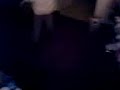 Video007.3gp