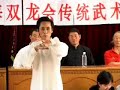 Zhang Xi Xing Wu Taiji form