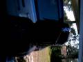 videos de DUB SPEAKS BRIEFLY