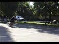 Dog Dancing