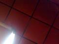 videos de applausi (camaleonti cover reggae) by RADIOREGGAE