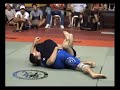 zen vs luccioni