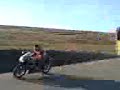 aprilia rs Paulik