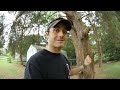 See Video