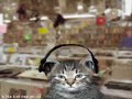 ejay dj tomato moonlight